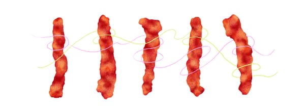 Hot Chips