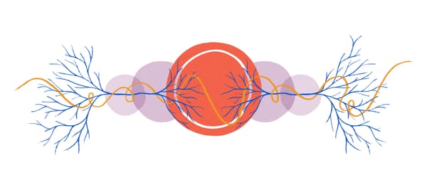 Love Story with Cow’s Eye